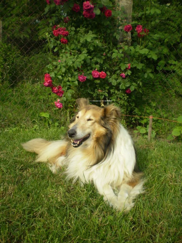 Bella